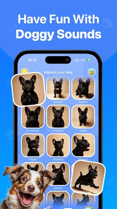 Dog Talk & Whistle Sounds App screenshot 2