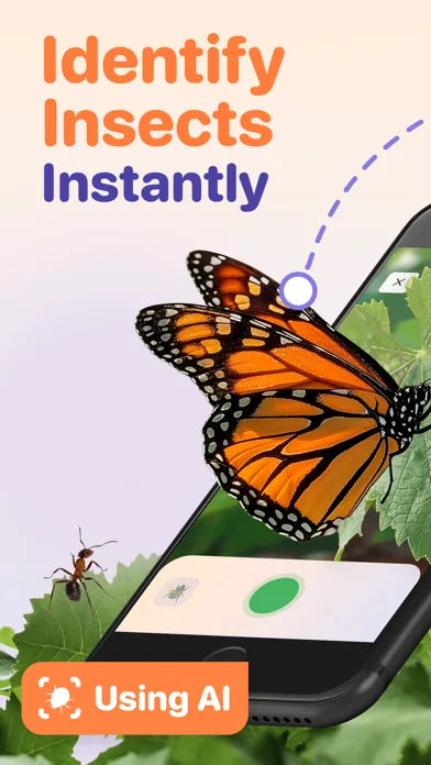 Bug ID - Insect Identifier screenshot 1