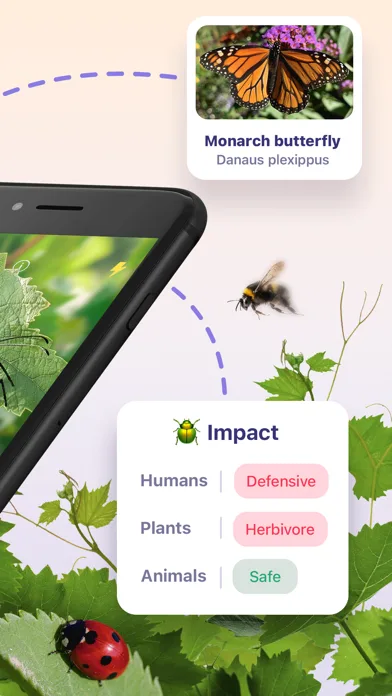 Bug ID - Insect Identifier screenshot 2