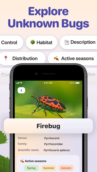 Bug ID - Insect Identifier screenshot 3