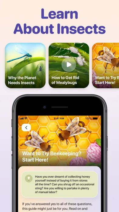 Bug ID - Insect Identifier screenshot 4