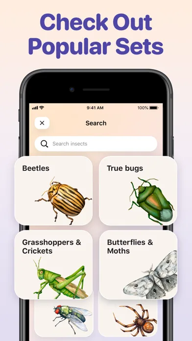 Bug ID - Insect Identifier screenshot 5
