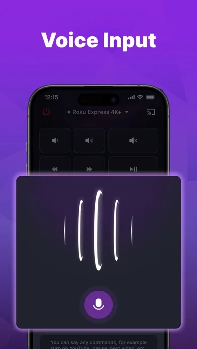 Remote for Roku TV Control· screenshot 5