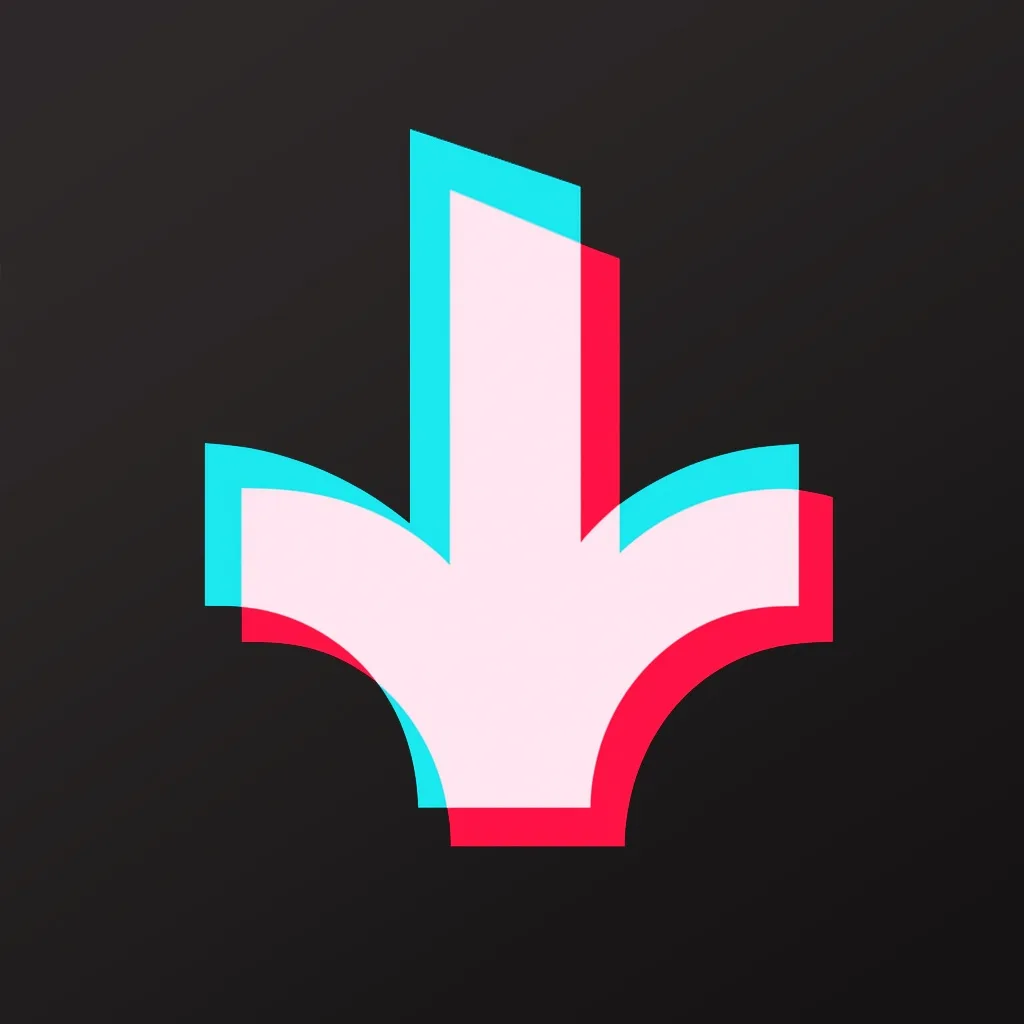 TikSave : Save videos