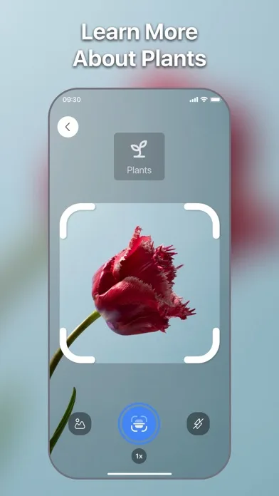 Lens Scan: Identify Anything screenshot 2