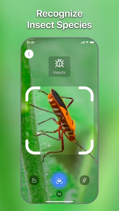 Lens Scan: Identify Anything screenshot 3