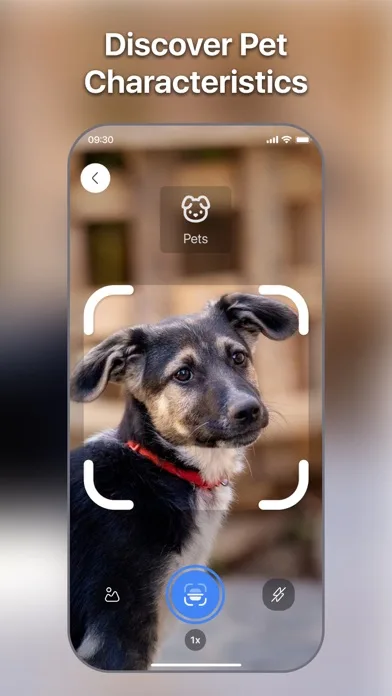 Lens Scan: Identify Anything screenshot 4