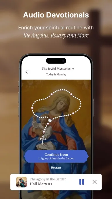 Oremus - Catholic Bible&Prayer screenshot 4
