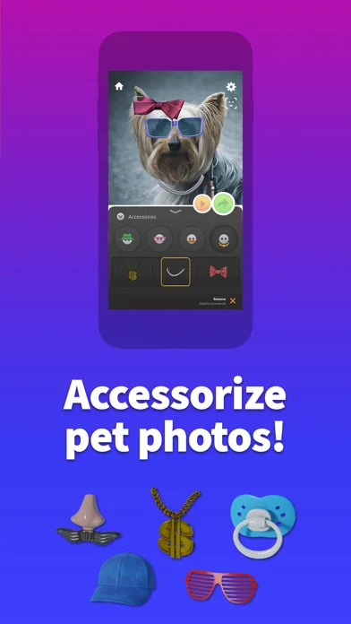 Pet Animator - Send eCards screenshot 2