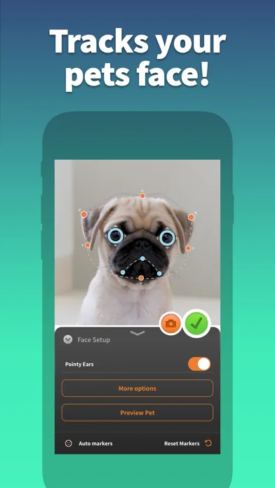 Pet Animator - Send eCards screenshot 3