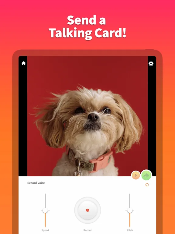 Pet Animator - Send eCards screenshot 4