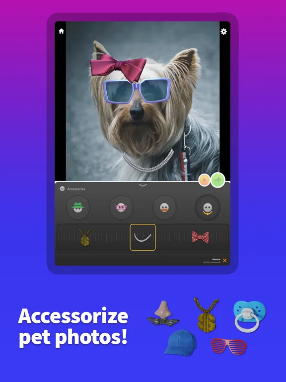 Pet Animator - Send eCards screenshot 5