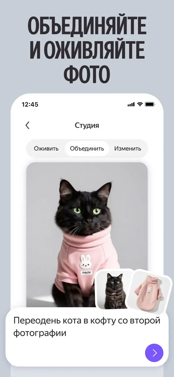 Alice: AI assistant screenshot 2