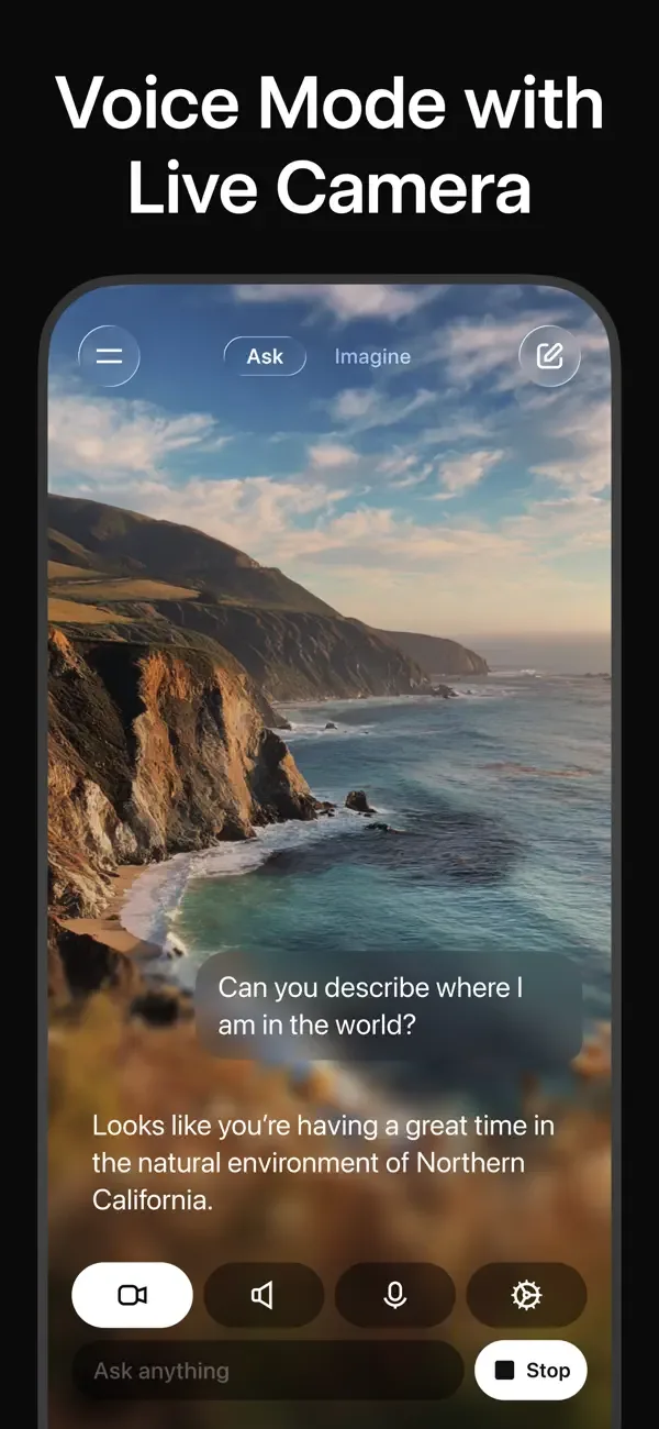 Grok - AI Chat & Video screenshot 2