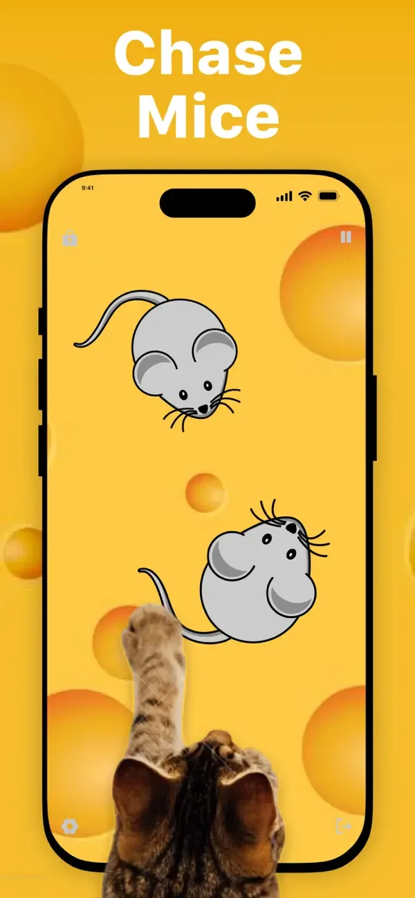 Games for Cats & Kitty screenshot 2