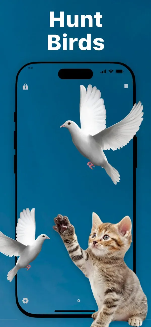 Games for Cats & Kitty screenshot 3