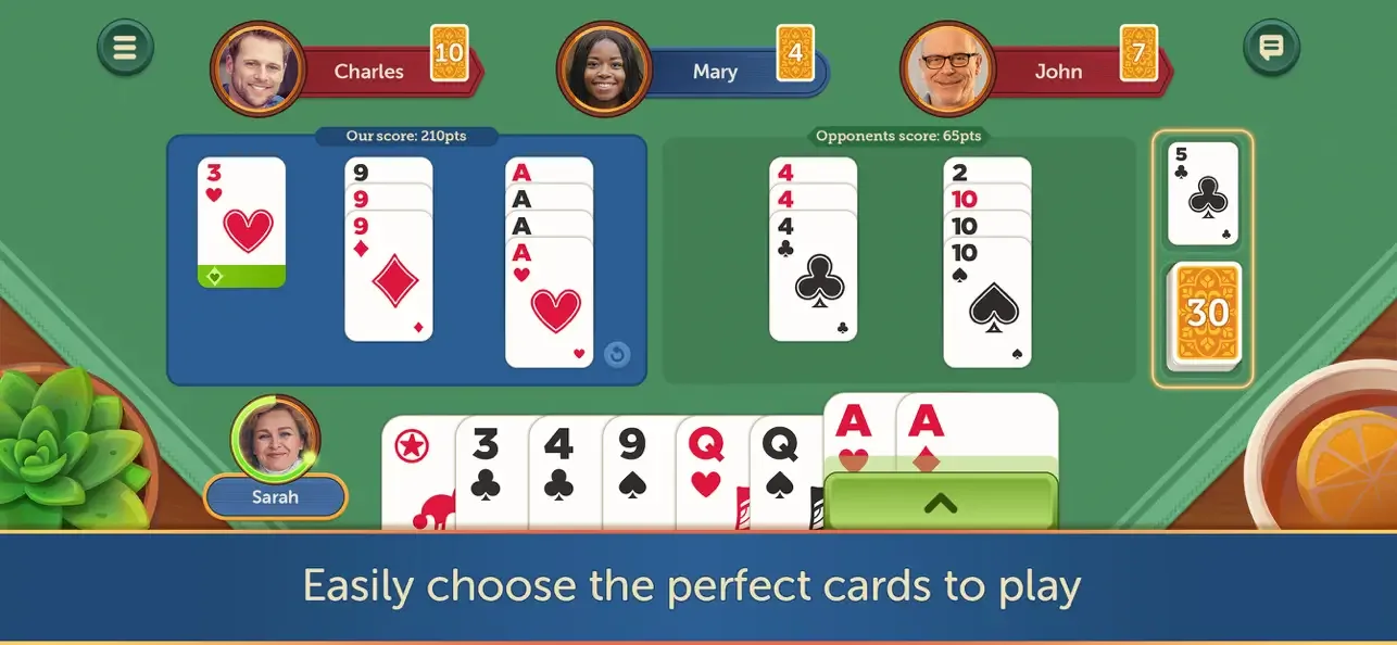 Canasta Fun & Friends screenshot 2