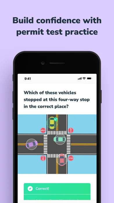 Teen & Adult Drivers Ed Online screenshot 4