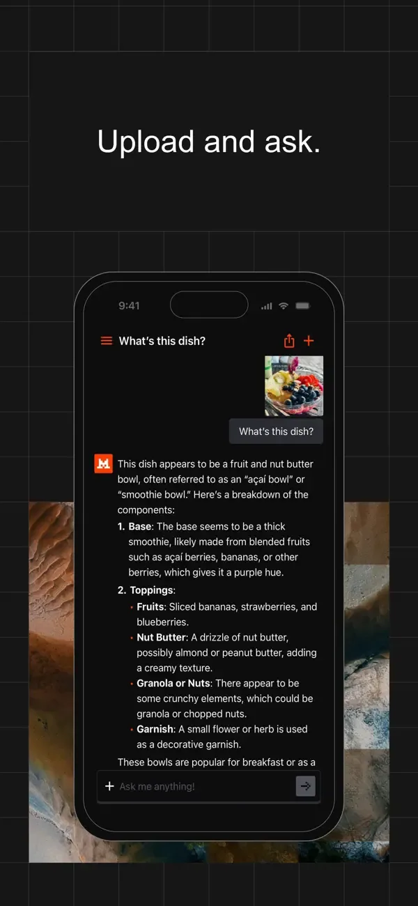 Le Chat by Mistral AI screenshot 4