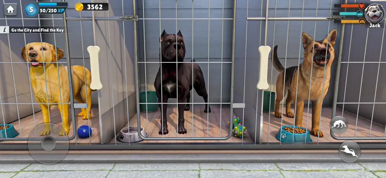 Dog Life: Animal Rescue Games screenshot 1