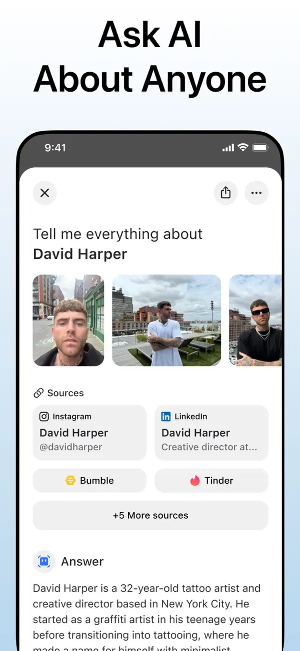 Deepsearch AI Search Assistant screenshot 2