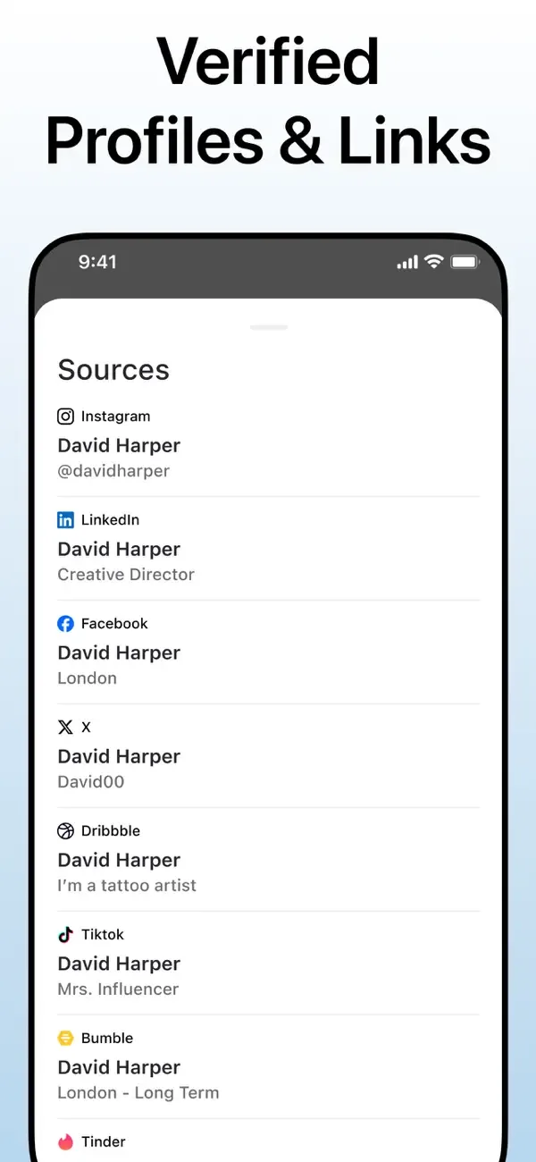Deepsearch AI Search Assistant screenshot 5
