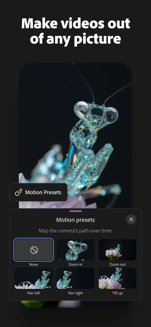 Adobe Firefly: AI Generator screenshot 3