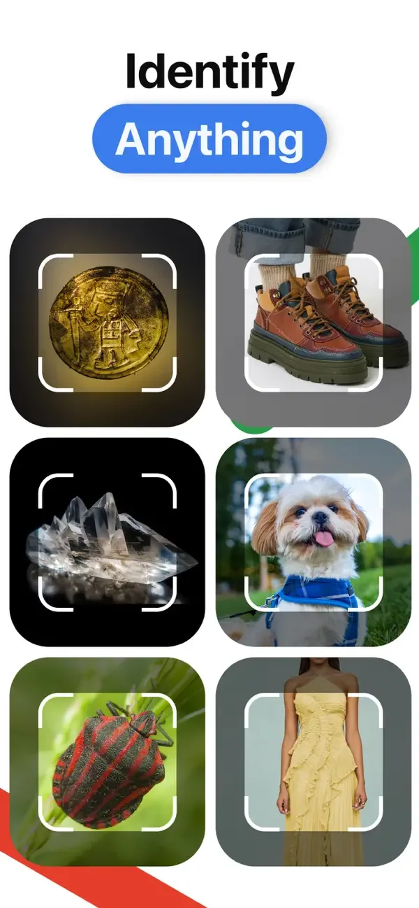 Lens AI: Identify Anything screenshot 1