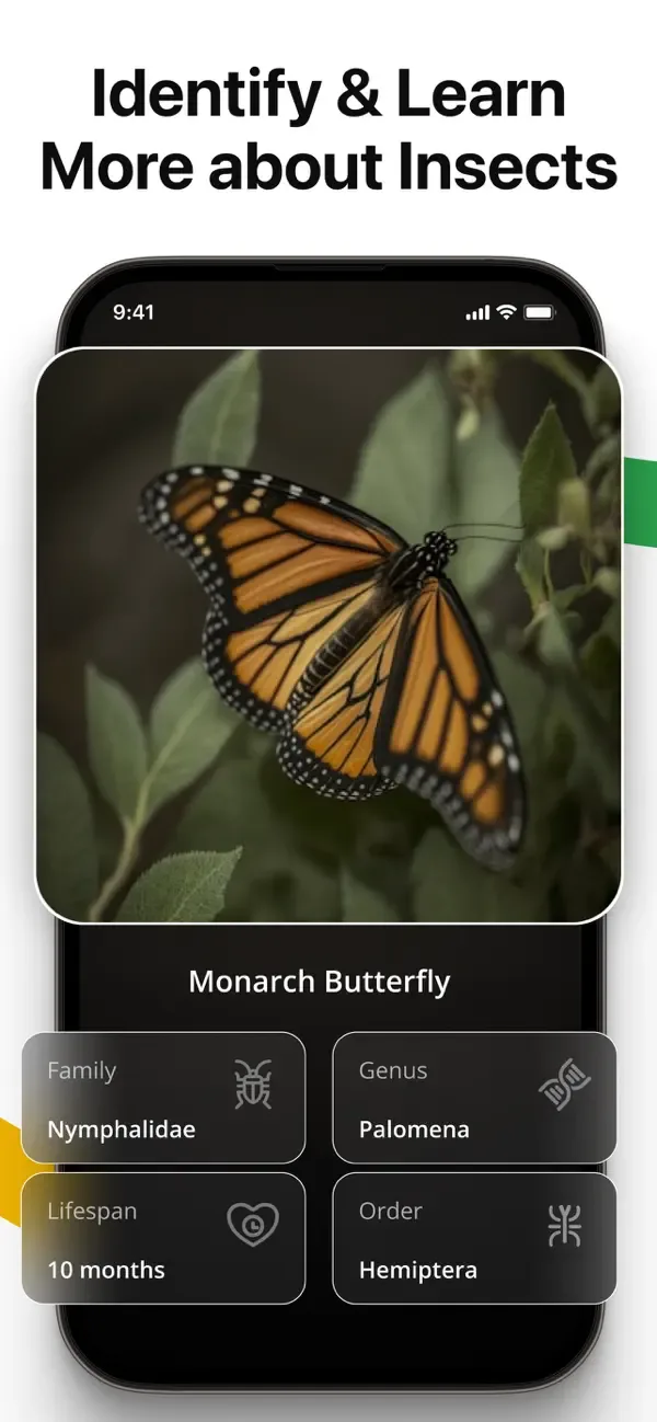 Lens AI: Identify Anything screenshot 4
