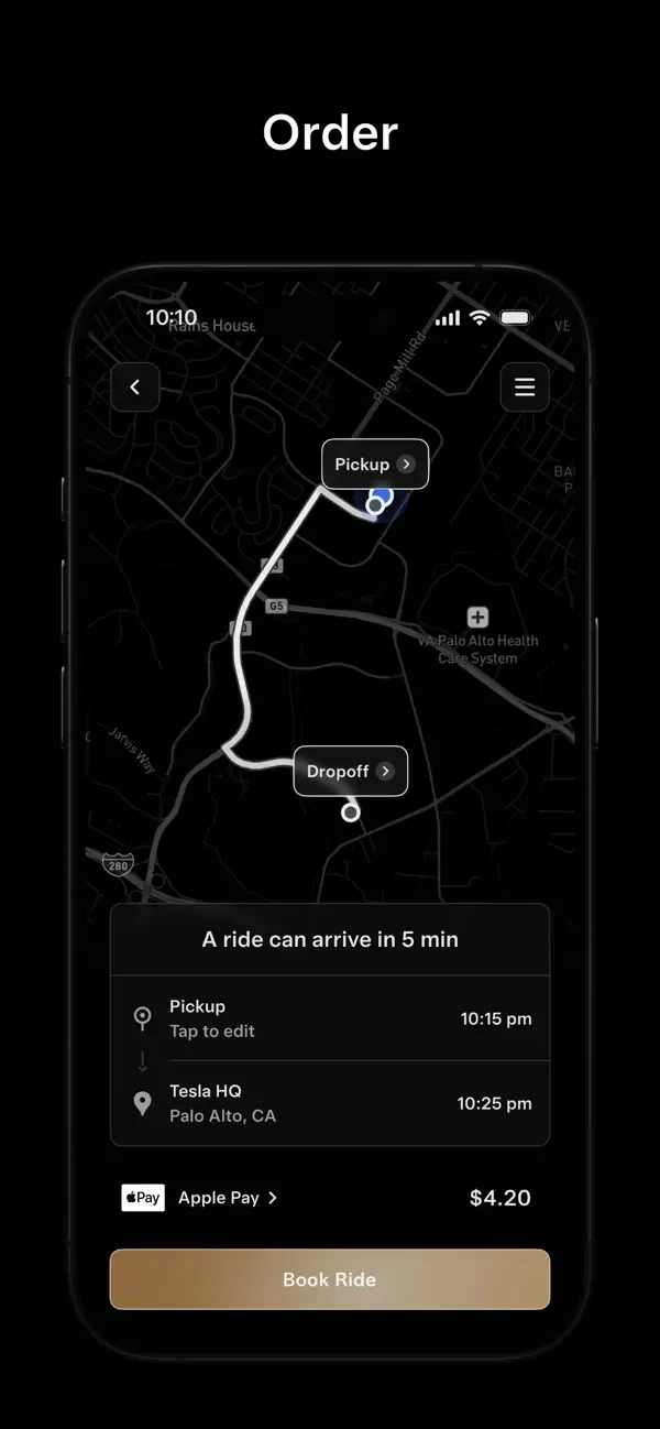 Tesla Robotaxi screenshot 1