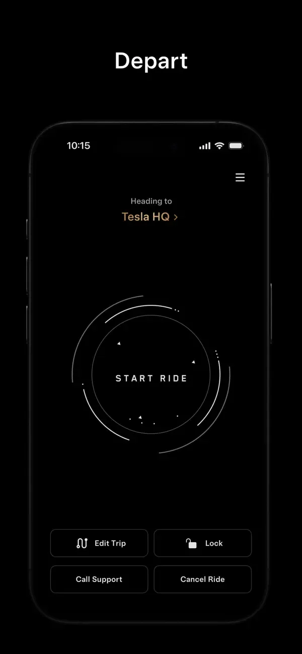 Tesla Robotaxi screenshot 3