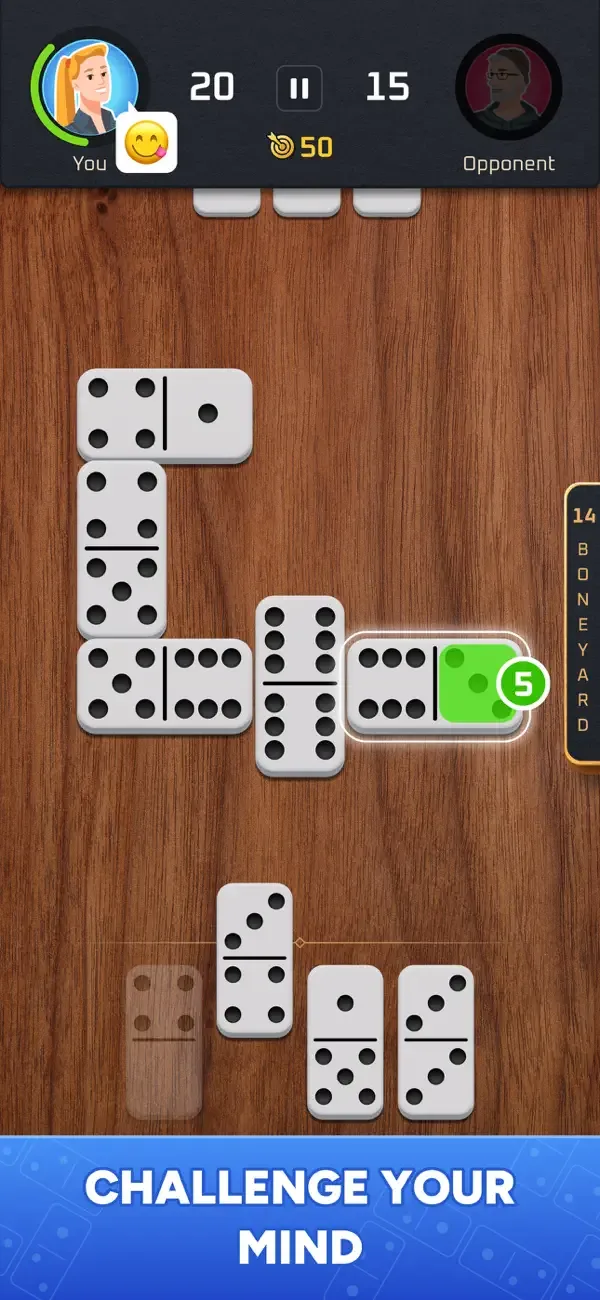 Dominoes Tour: Classic Game screenshot 1