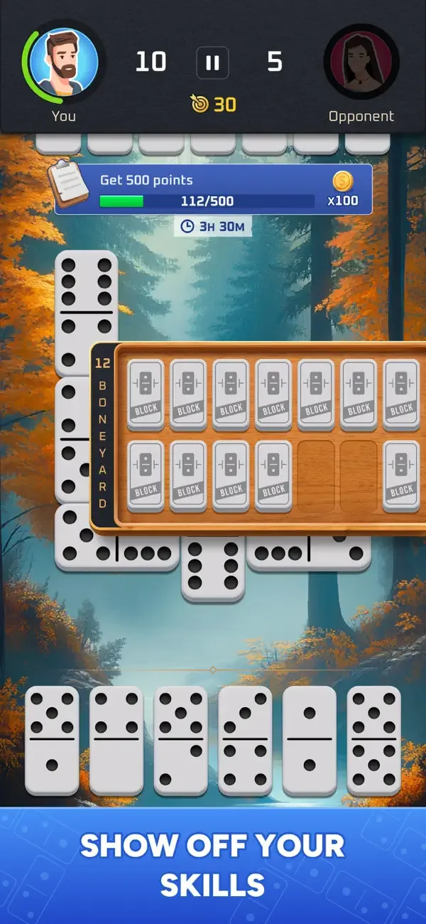 Dominoes Tour: Classic Game screenshot 2