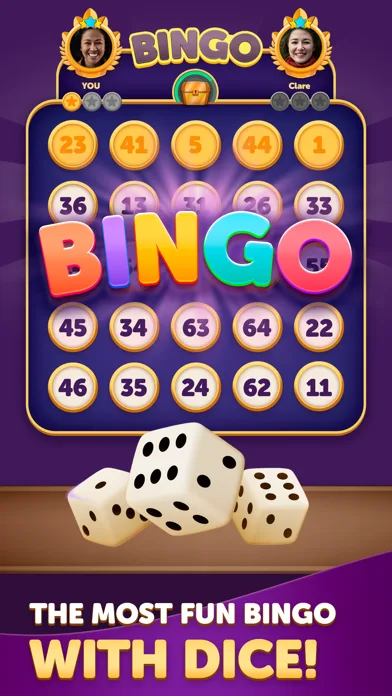 Bingo Dice screenshot 1