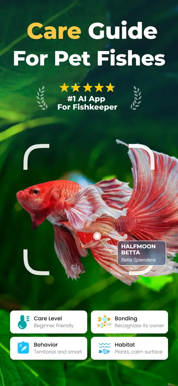 OkayFish - Pet Fish Care Guide screenshot 1