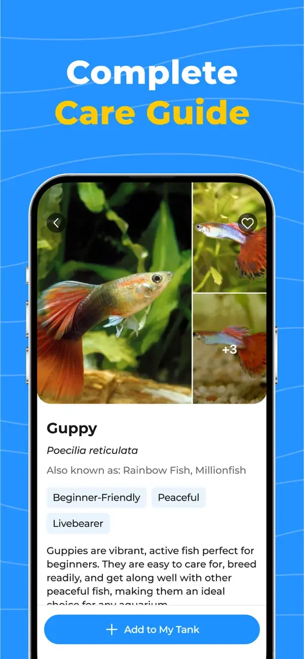 OkayFish - Pet Fish Care Guide screenshot 4