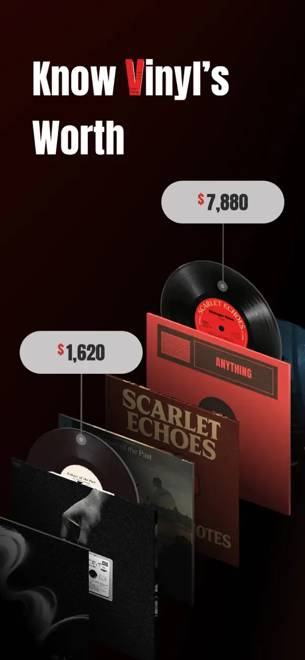 VinylSnap: Scan & Value Record screenshot 1