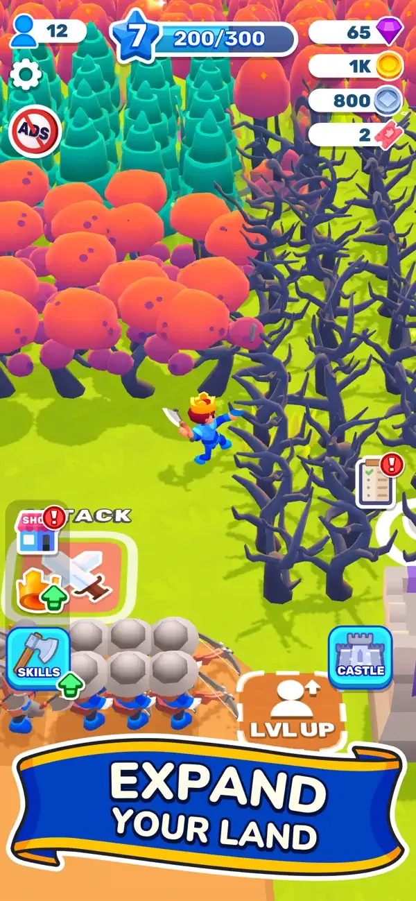 Royal Lands - Save The King screenshot 5