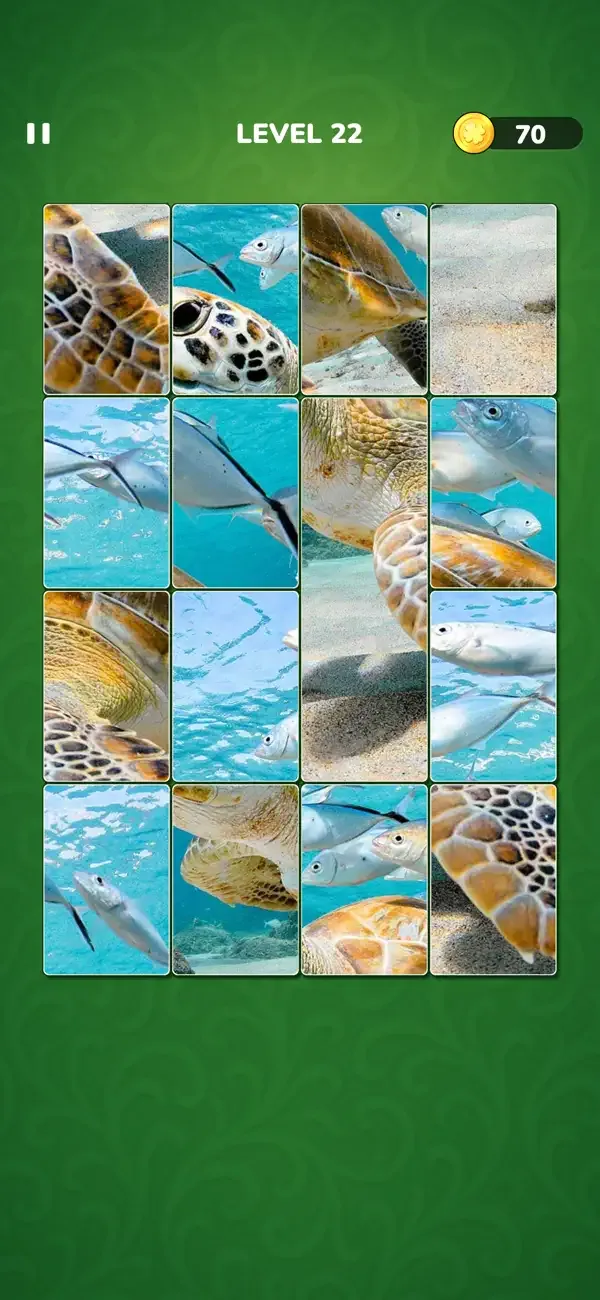 Jigsort®: Solitaire screenshot 3
