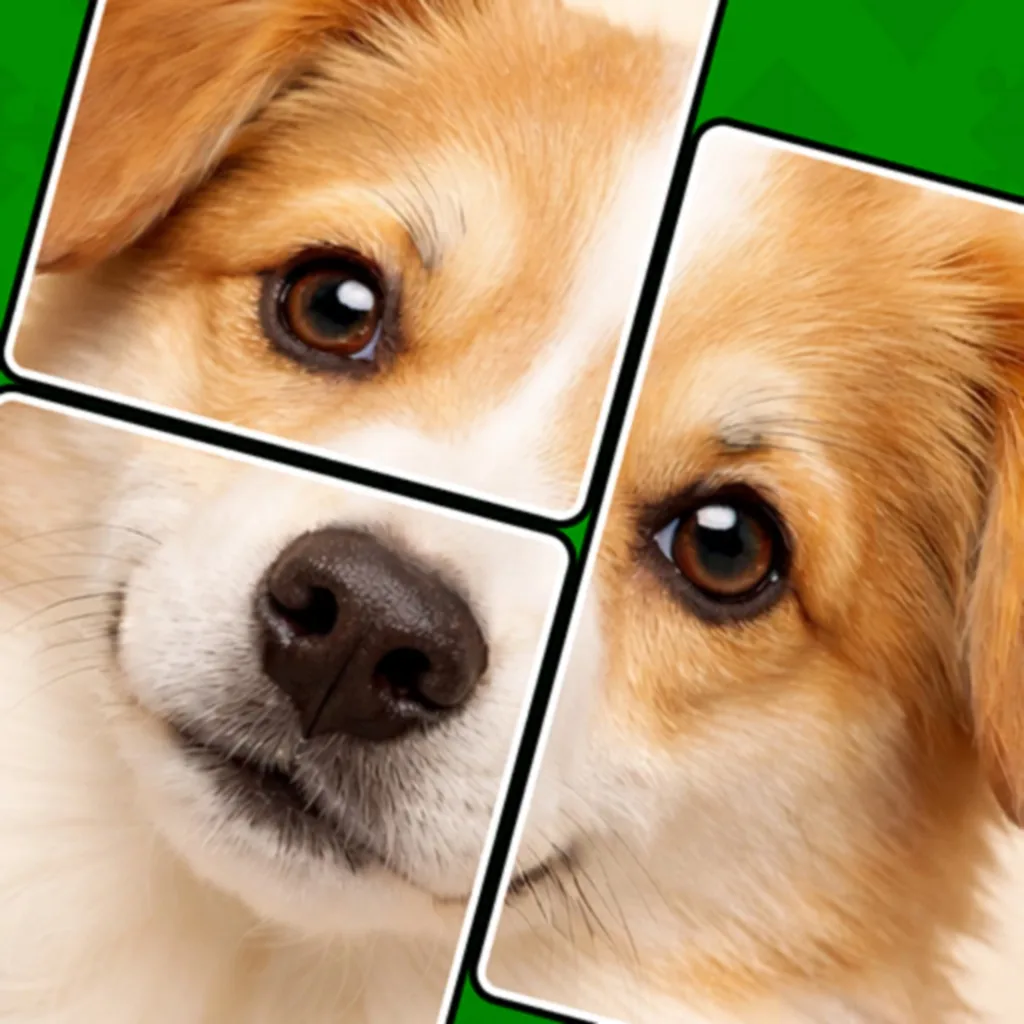 Jigmagic Solitaire - Puzzle