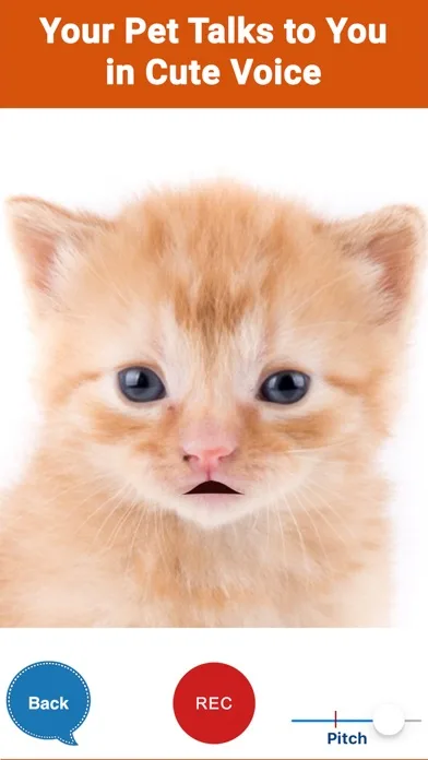 My Talking Pet Photos P2Talk screenshot 1
