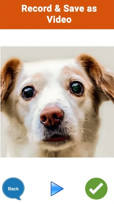 My Talking Pet Photos P2Talk screenshot 4