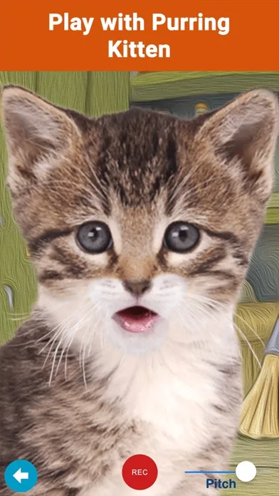My Talking Pet Photos P2Talk screenshot 5