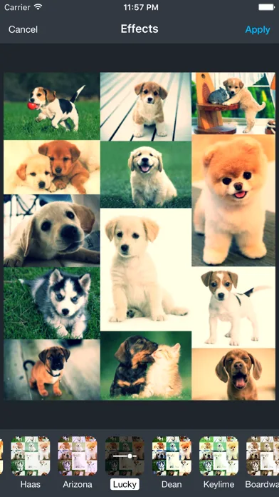 Photo Quilt Auto Collage Maker screenshot 4