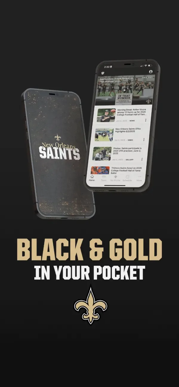 New Orleans Saints screenshot 1