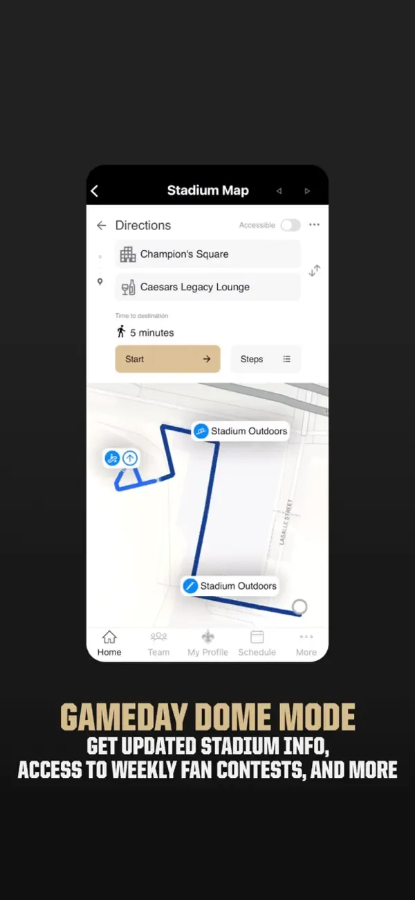 New Orleans Saints screenshot 5