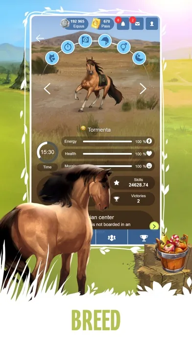 Howrse screenshot 2