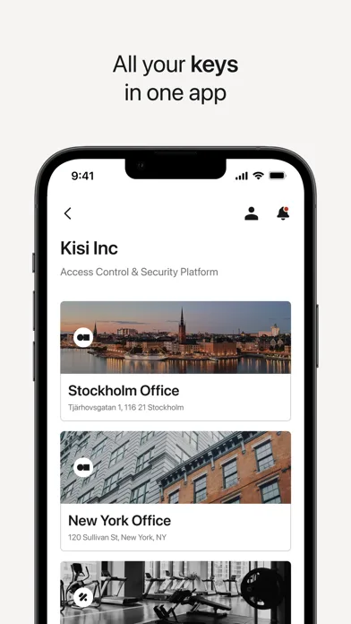 Kisi screenshot 2