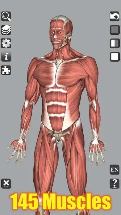 3D Bones and Muscles (Anatomy) screenshot 1