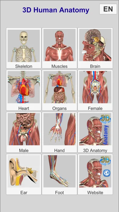 3D Bones and Muscles (Anatomy) screenshot 2